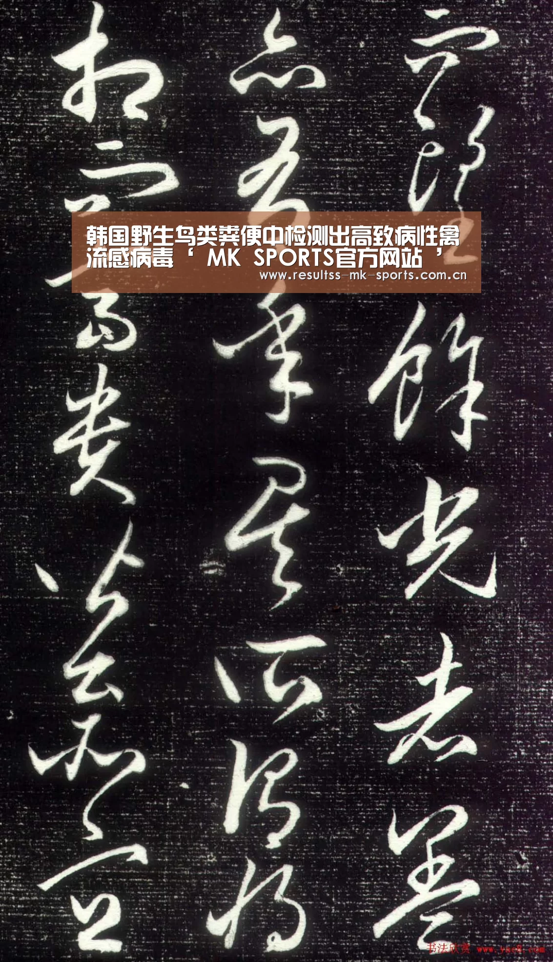 MK体育 