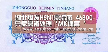 湖北爆发H5N1禽流感 46800只家禽被处理‘MK体育 ’(图1) MK SPORTS官方网站